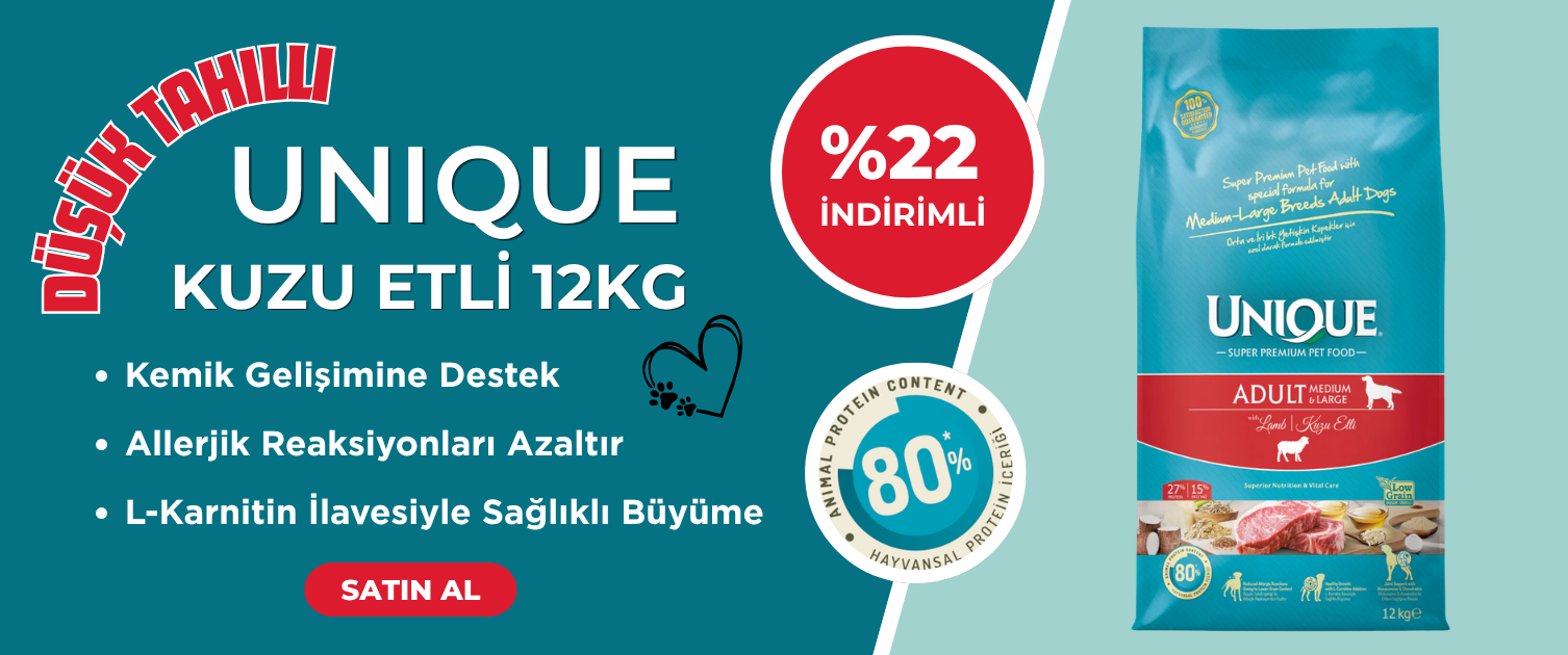 Unique Köpek