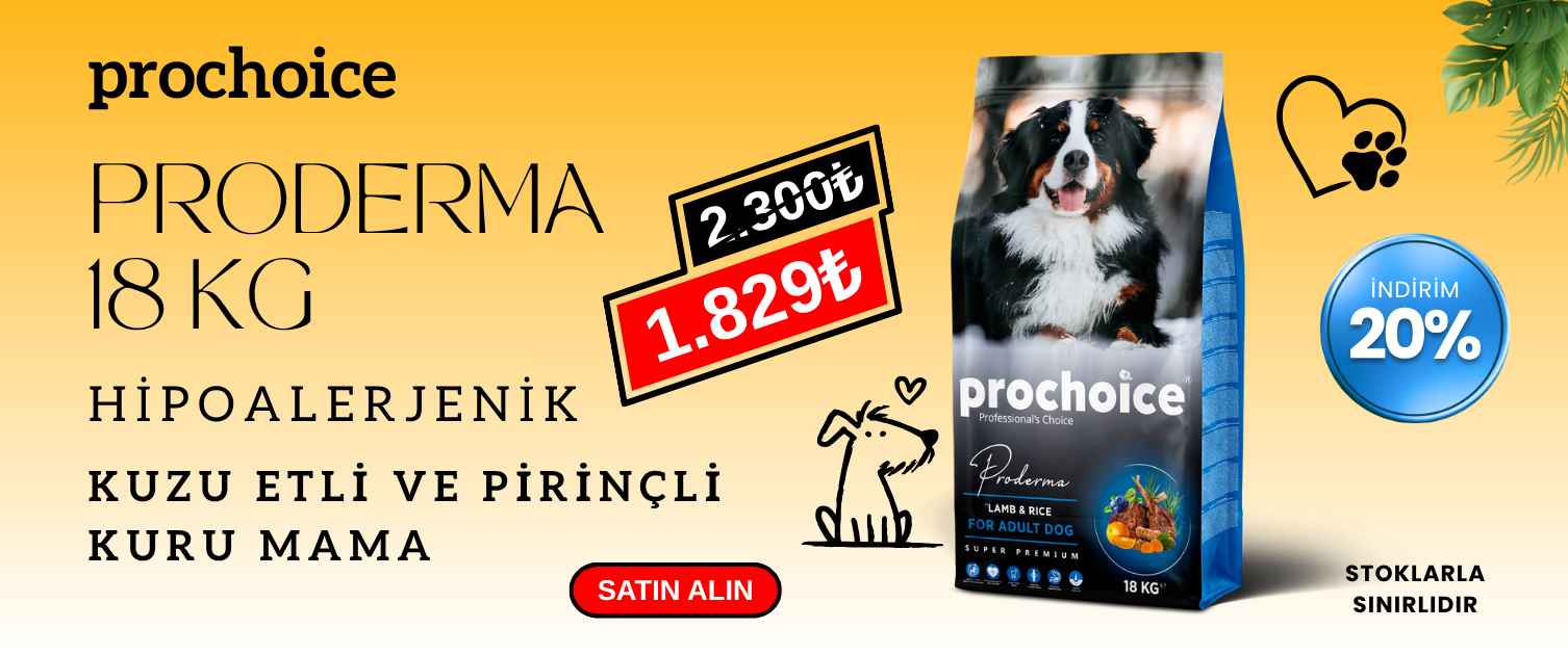 Prochoice Köpek