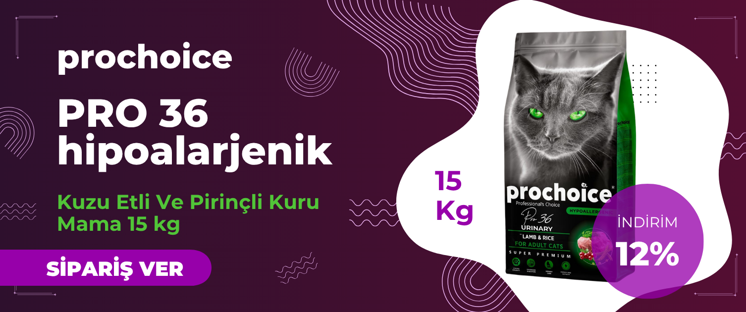Prochoice Kedi