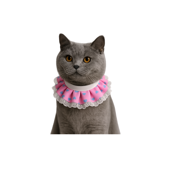 Petcadde | Evcil Dostlarınız İçin Mama ve Ürünler