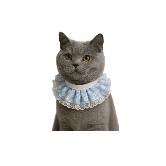 Petcadde | Evcil Dostlarınız İçin Mama ve Ürünler