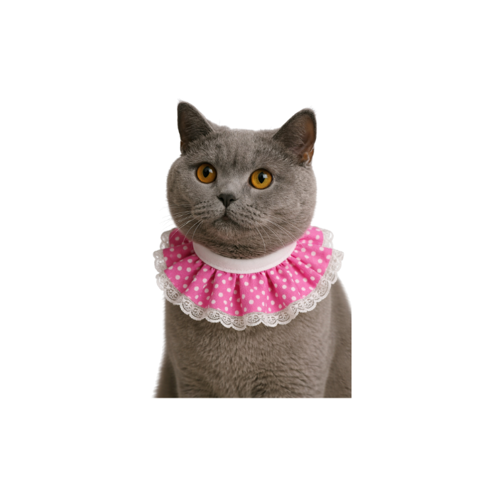 Petcadde | Evcil Dostlarınız İçin Mama ve Ürünler