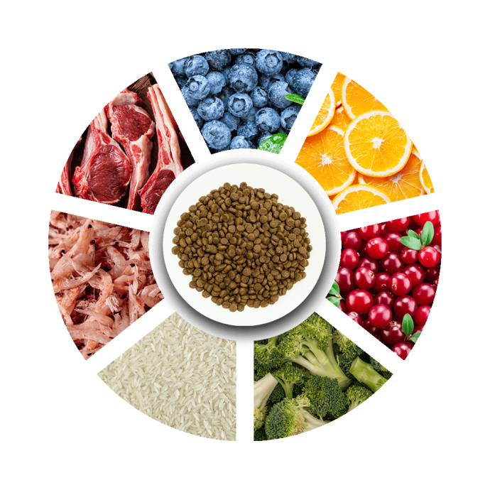 Petcadde | Evcil Dostlarınız İçin Mama ve Ürünler