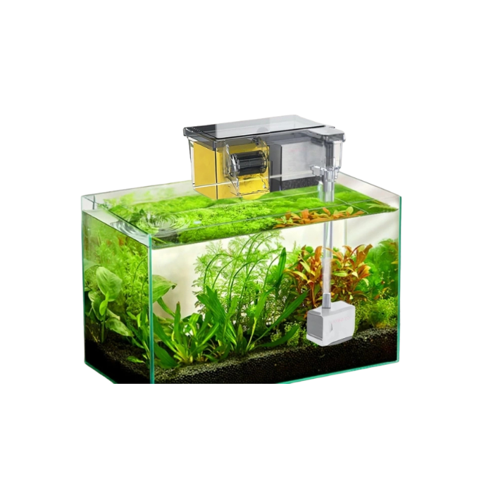 Petcadde | Evcil Dostlarınız İçin Mama ve Ürünler