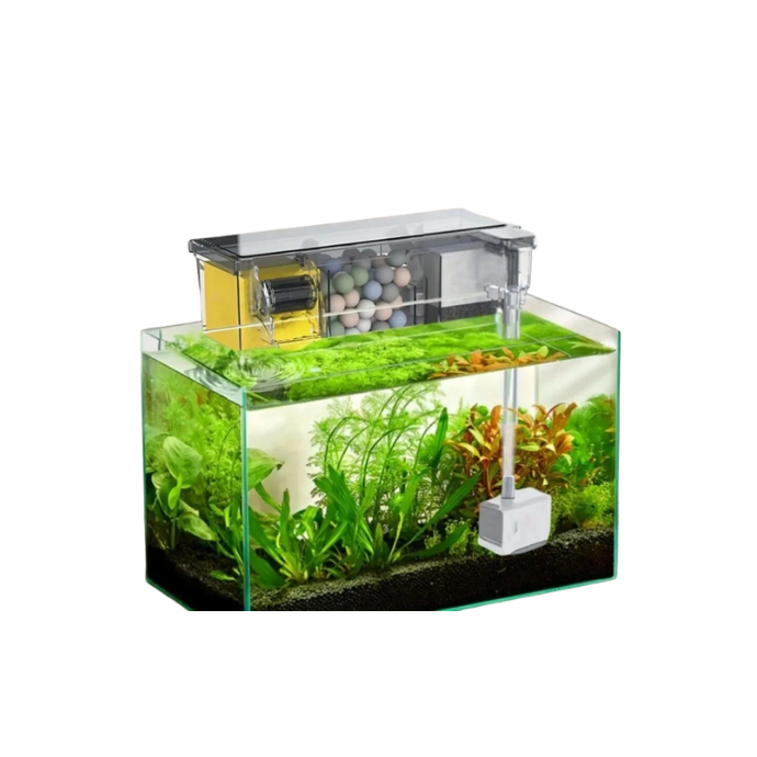 Petcadde | Evcil Dostlarınız İçin Mama ve Ürünler