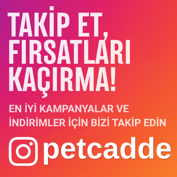 Instagram Takip