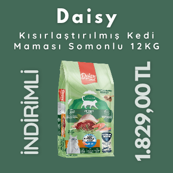 DAİSY KEDİ 12KG