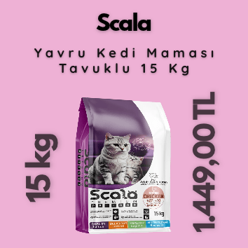 SCALA YAVRU KEDİ