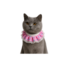 Coco Pet Prenses Yaka