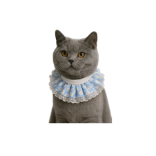 Coco Pet Prenses Yaka