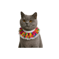 Coco Pet Prenses Yaka